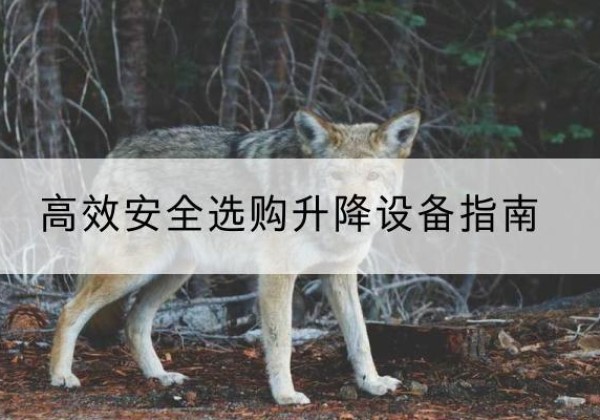 玉树升降货梯厂家推荐-*安全选购升降设备指南