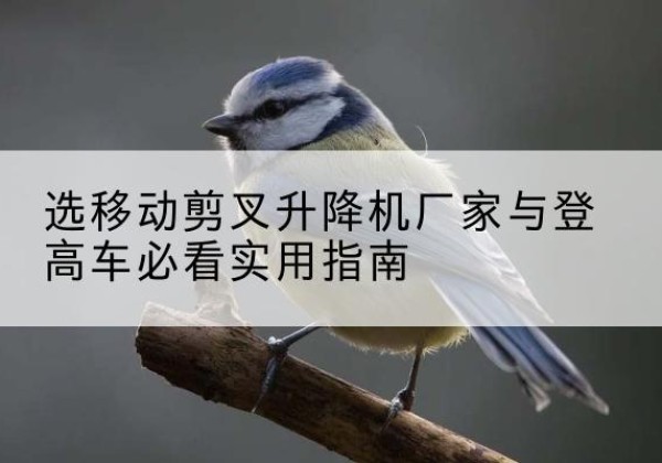 玉树电动升降机厂家-选移动剪叉升降机厂家与登高车必看实用指南
