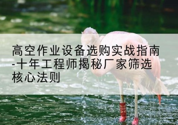 玉树剪叉式升降机厂家-高空作业设备选购实战指南-十年工程师揭秘厂家筛选核心法则